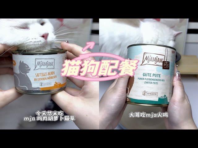 猫狗配餐｜ mja 日