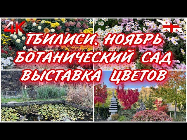 ТБИЛИСИ. ВЫСТАВКА ЦВЕТОВ И ПРОГУЛКА ПО ОСЕННЕМУ БОТАНИЧЕСКОМУ САДУ В НАЧАЛЕ НОЯБРЯ. ОСЕННИЙ РЕЛАКС