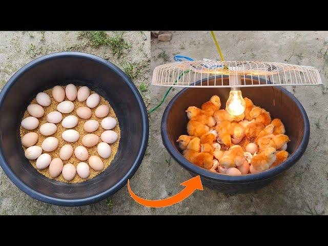 BEST Incubator For Chicken Eggs With 100% Efficiency | Chicken Hatchery | Chicken Egg Incubator