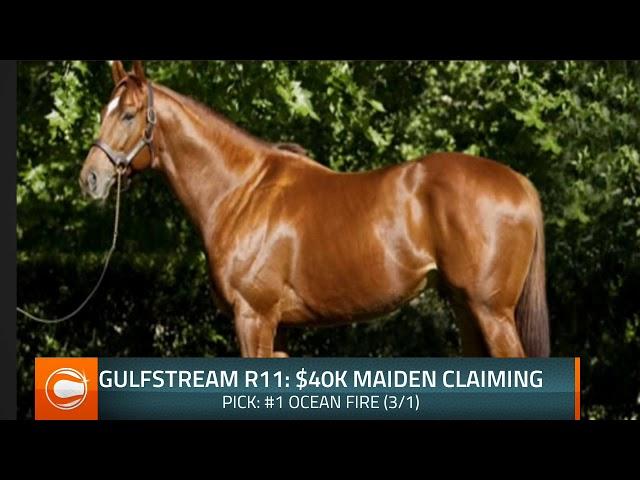 Free horse racing picks at Gulfstream Park for Friday