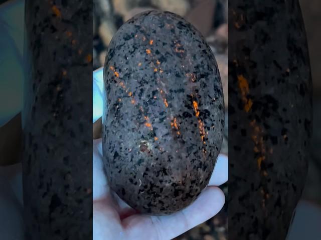 This fluorescent Sodalite looks like claw marks on it! #rocks #rockhounding #yooperlite