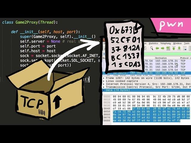 Developing a TCP Network Proxy - Pwn Adventure 3