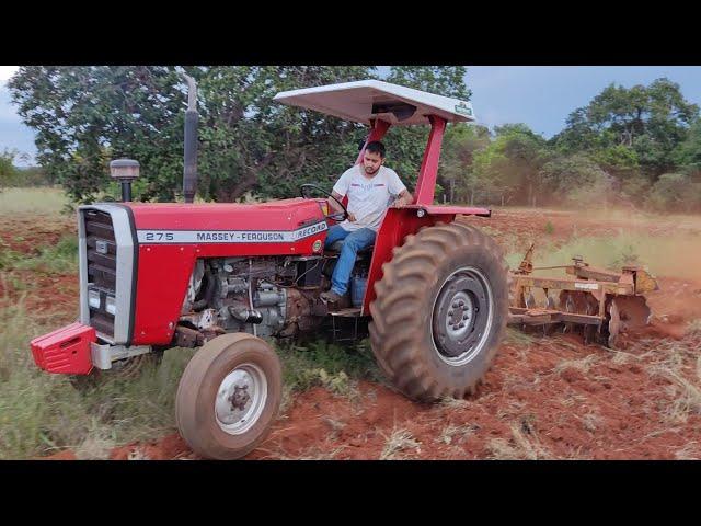 MASSEY FERGUSON 275 RECORD NA GRADE DE 12 DISCOS!!!DICAS DE AMACEAMENTO DO MOTOR E DE SERVIÇO TOP...