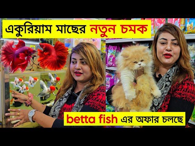 Aquarium Price In BangladeshAquarium Fish Price In Bangladesh 2025 Aquriam Fish Price BD