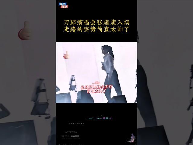 刀郎演唱会张旖旎入场走路的姿势太帅了吧！#张旖旎 #音樂 #shorts