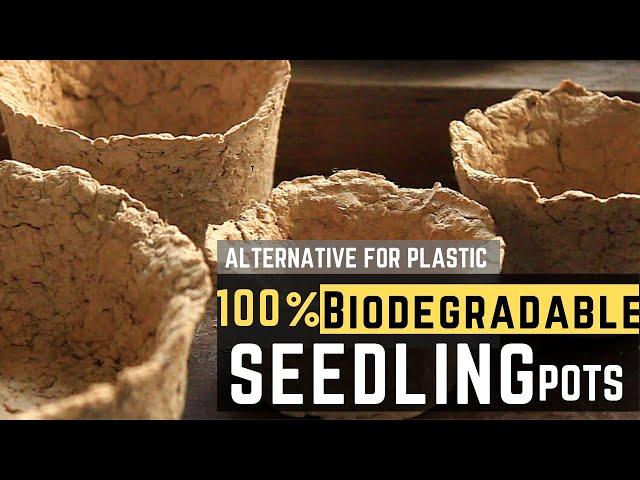 How to Make Biodegradable Pots - DIY Paper Mache Seedling Pots | PH