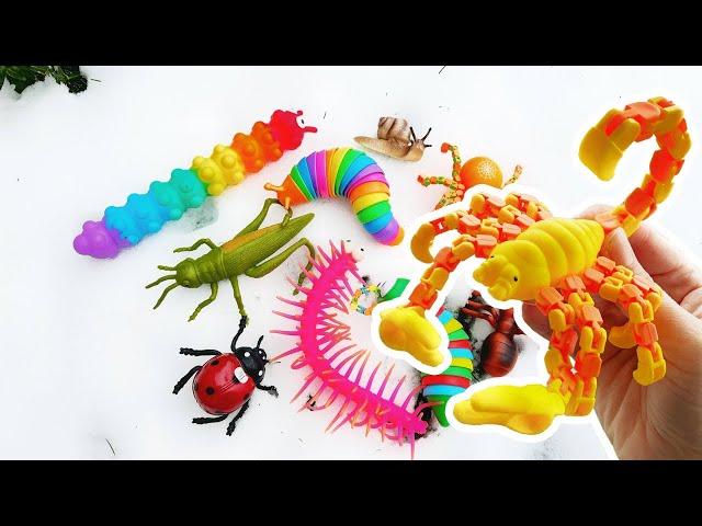 Learn Bugs Names & Facts in the Snow | Festive Fun for Kids: Slug Caterpillar #HolidaysWithYouTube