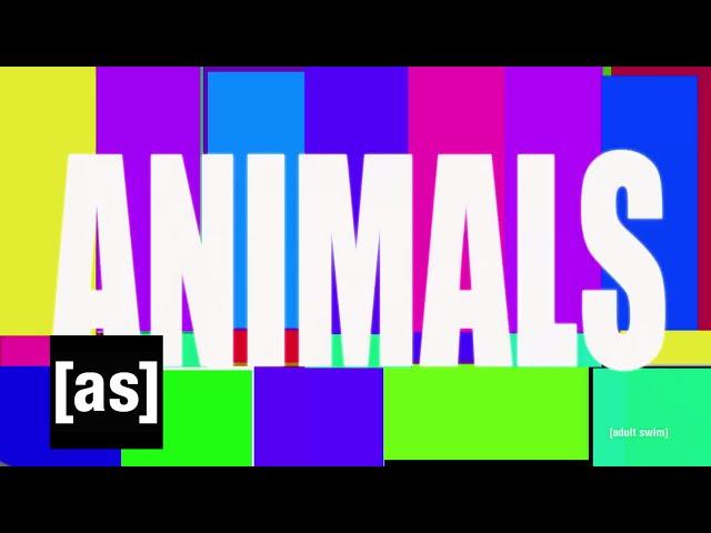 Animals | Off the Air | Adult Swim