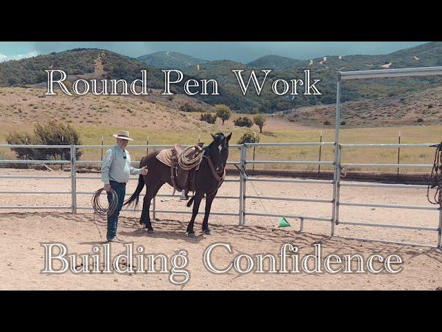 Round Pen Work and Building Confidence in Horses with Cody Deering