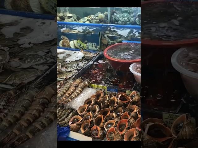 전세계 5개국만 있는 해산물 손질 달인! Cutting interesting seafood in Korea master