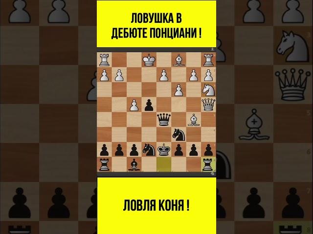 Шахматы. ЛОВУШКА в Дебюте Понциани! #shorts #chess #chessbullet #chessblitz