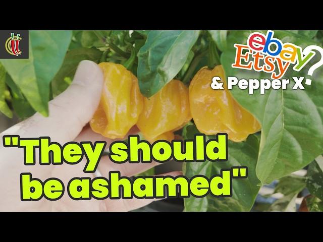 Exposing Unscrupulous Seed Vendors: eBay/Etsy & "Pepper X" Experiment Results