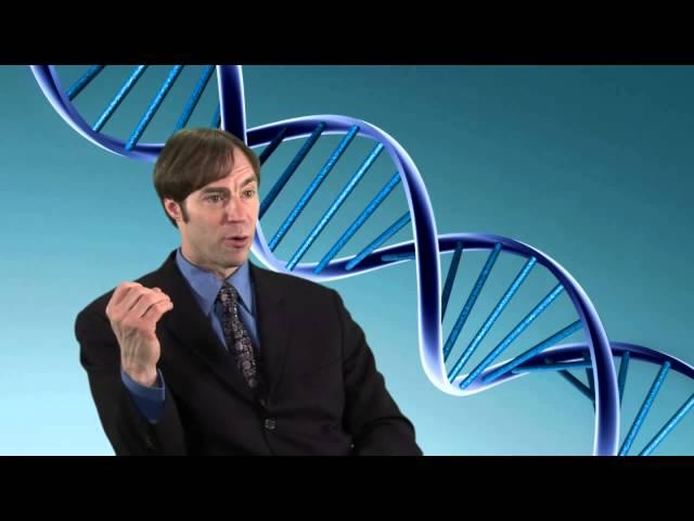 Stephen Meyer on Intelligent Design  What is the origin of digital information found in DNA?