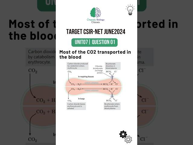 CSIR-NET LIFE SCIENCES | JUNE2024 #csir #gate #csirnet #csirnetpreparation #lifescience #csirnetjune