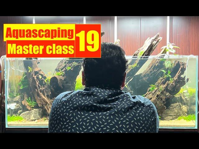 Aquascaping MasterClass19 | Unleashing the Secrets of Plant Behaviour | Online Course 4K