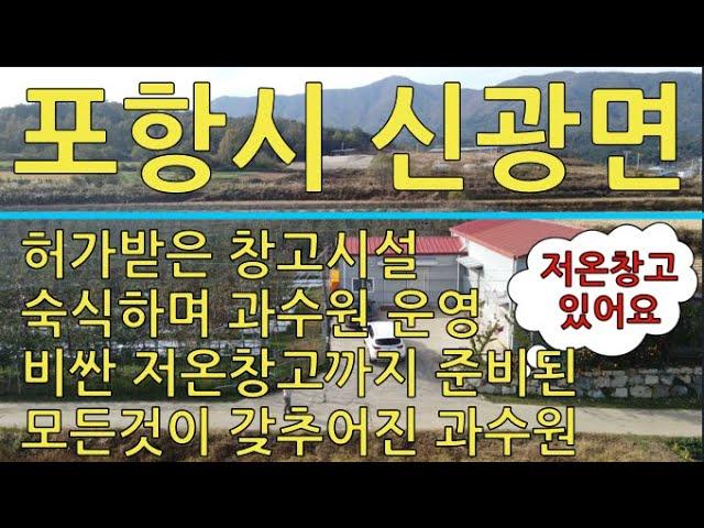 포항시 신광면 모든 것이 갖추어진 사과 과수원 매매