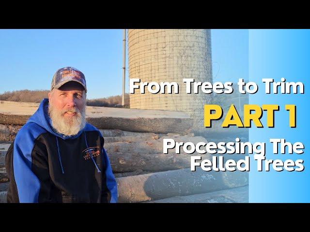 From Trees to Trim - Step 1: Processing The Felled Trees