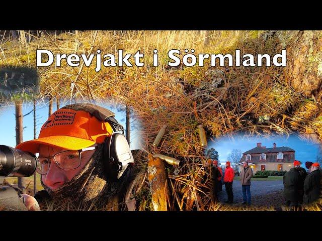 Drevjakt i Sörmland   "Driven hunt"