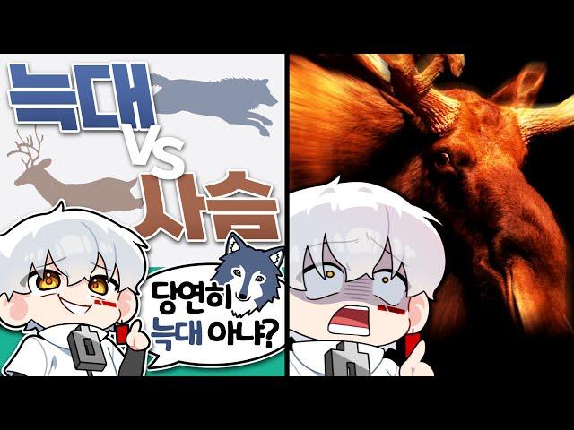 인간으로 태어나서 다행이다... [최강동물월드컵]