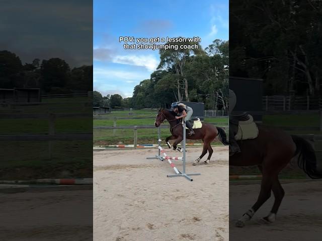 POV: you get a lesson with that showjumping coach #horse #equestrian #showjumping #showjumper