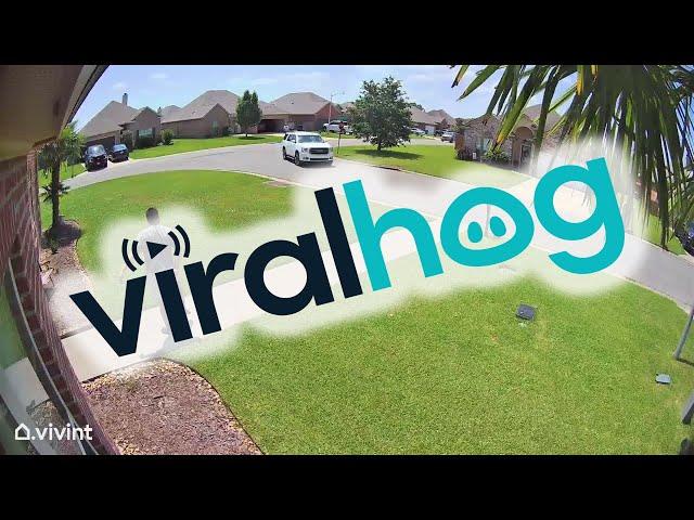 Neighbor Dads Celebrate Father's Day || ViralHog