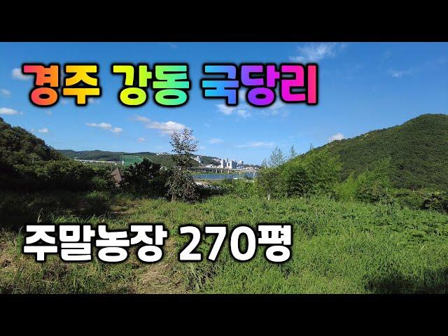 국당리 주말농장 | 019