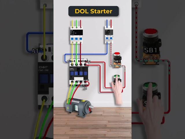 DOL Starters Explained in 60 Seconds!