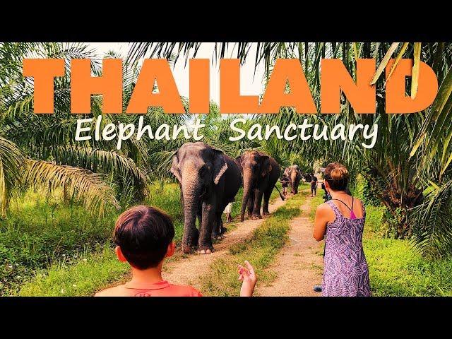 New Elephant Sanctuary In Krabi Thailand. Great For Families.