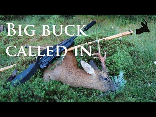 RoeStalker's roe rut 2013: Big buck called in and shot.