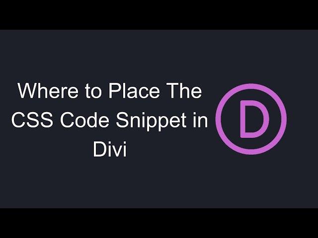 Where to Place The CSS Code Snippet in Divi