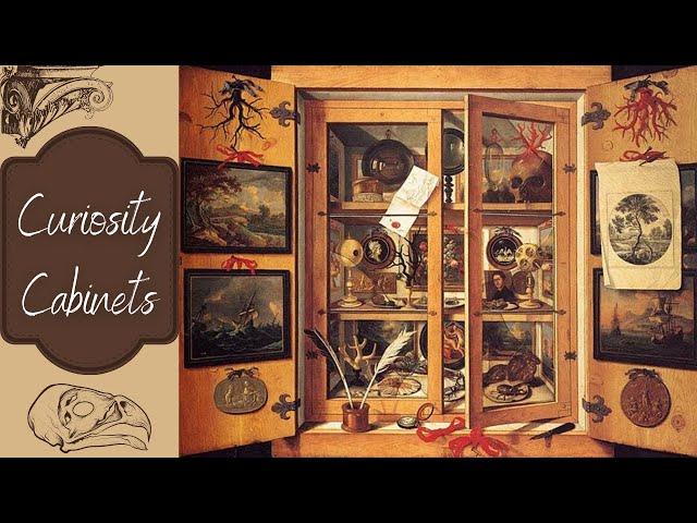 Museum History: The Curiosity Cabinet