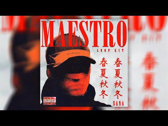 [+10 FREE] "MAESTRO" - OLD SCHOOL BOOM BAP LOOP KIT (Dark, Piano, Violin, Deutsche Rap, Baby Gang)