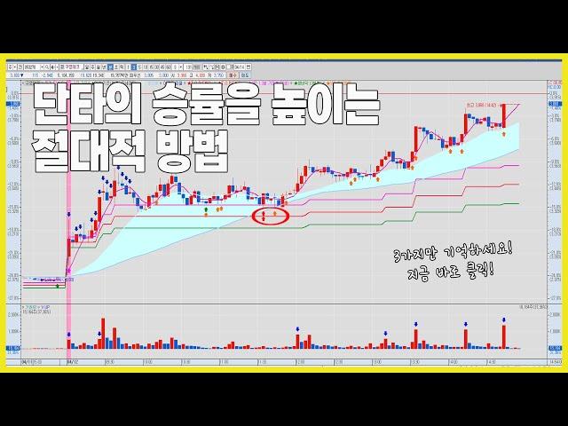 [단타] 단타의 승률을 높이는 절대적 방법! #일봉의XX # 거래XX #그리고봉선추