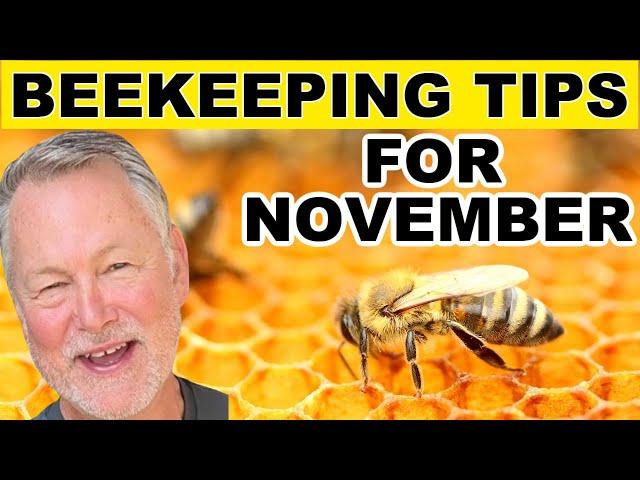 Beekeeping Tips For November