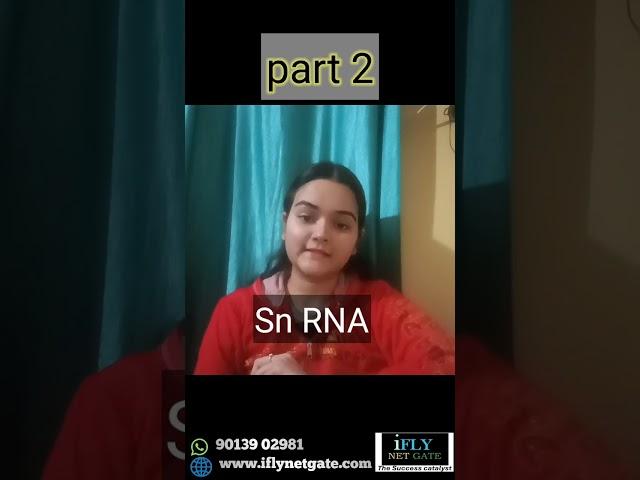 RNA polymerase 2 #shots #csirnetlifesciences #iflynetgate