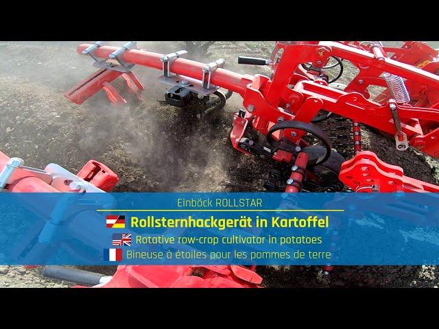 Rotative row-crop cultivator ROLLSTAR in potatoes | EINBÖCK Shortclip #37