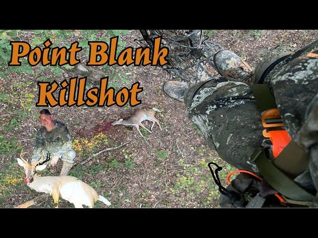 Incredible Close-range Shot: Public Land Saddle Hunting In Alabama With A Crossbow