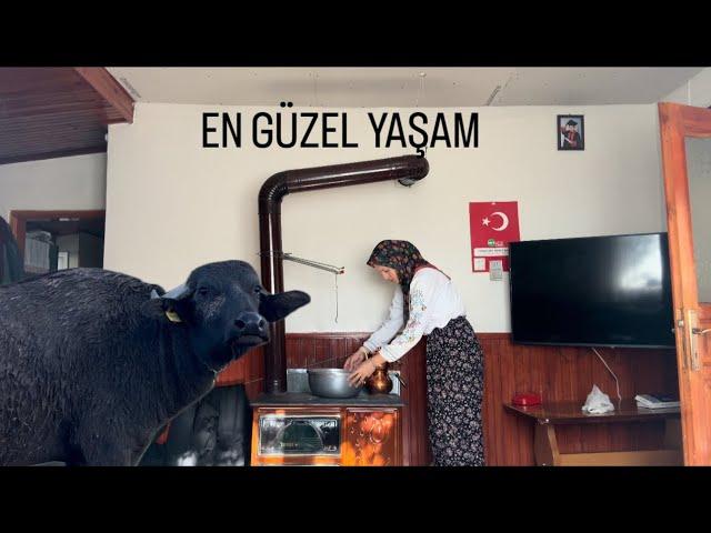 KÖYDE YAŞAM..EV TADİLATI//KAHVALTI