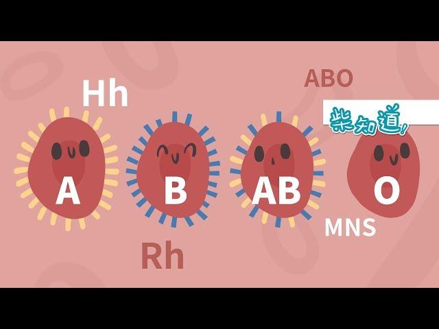 血型是如何分类的？除了ABO还有35类血型 How is the blood type classified?ABO and more【柴知道】【科普Science】【冷知识Trivia】