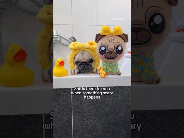 Reasons why you need a LOULOU & DUCKY 2.0 Plush in your life 🩵 #pug #dog #shorts