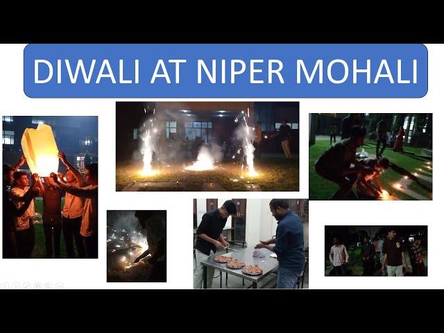 NIPER MOHALI DIWALI CELEBRATION 2024 .COLOURS, LIGHTS, CRACKERS, DECORATION AND FESTIIVE VIBES#NIPER