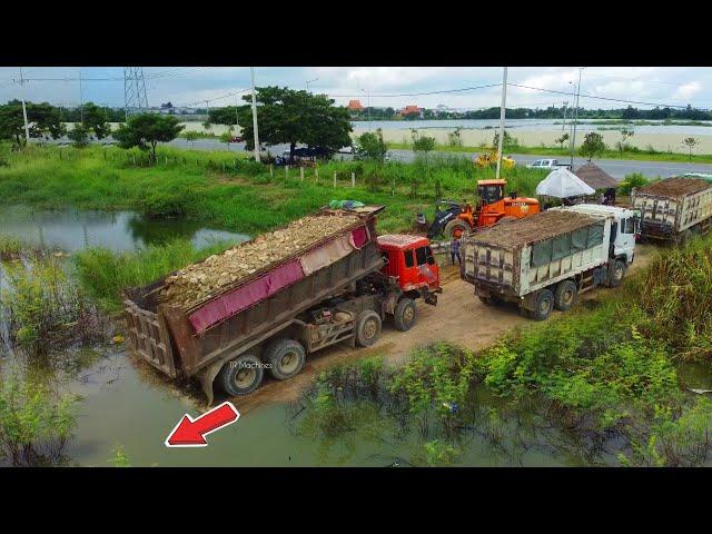 Huge Construction Dump truck 25.5Ton Filling Land for Development with Bulldozer SHANTUI, Mix Job