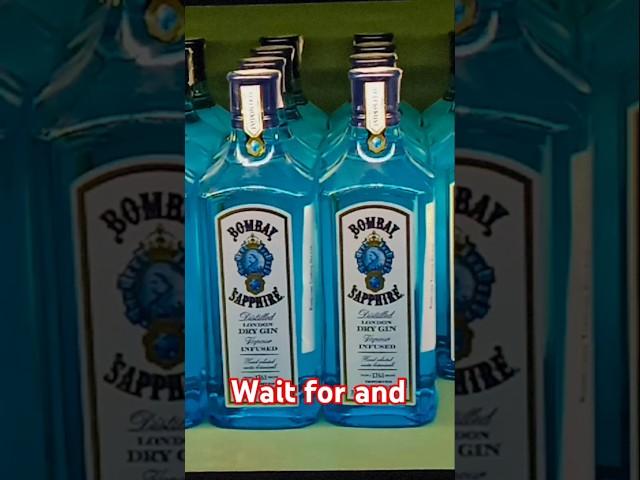 Bombay Gin #newmusic #shortvideo #youtubeshorts #alcoholicbeverage