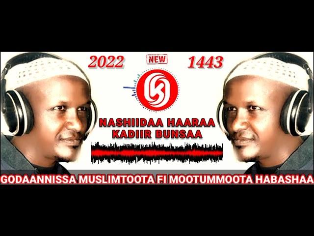 NASHIIDAA BAREEDDU HAARAA 2022 /1443 SEENAA GODAANNISA MUSLIMAA MUNASHIID KADIIR BUNSAA