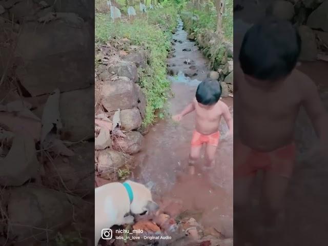 Onnu kulipichu tharuo . #doglovers #puppylove #river