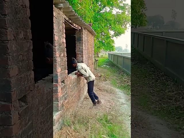 aisi kaun si chij hai jo bacchon ko dara rahi hai #vishal #comedy #funny #shortvideo