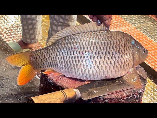 Amazing Cutting Skills | Big Carp Fish Cutting By Expert Fish Cutter