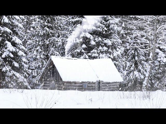 snowy winter night in an abandoned hunters log cabin