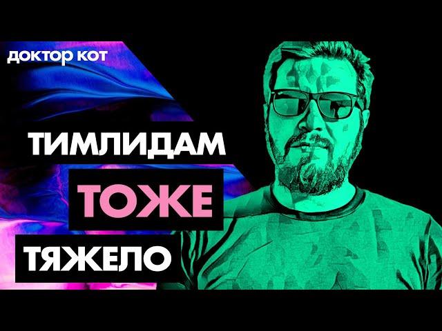Все боли тимлидов — ответственность, нагрузка, чужие проблемы — Доктор Кот