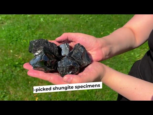 Elite Shungite Treasury | Rare Shungite Stone | Shungite Crystal Nuggets | Unique Shungite Stones